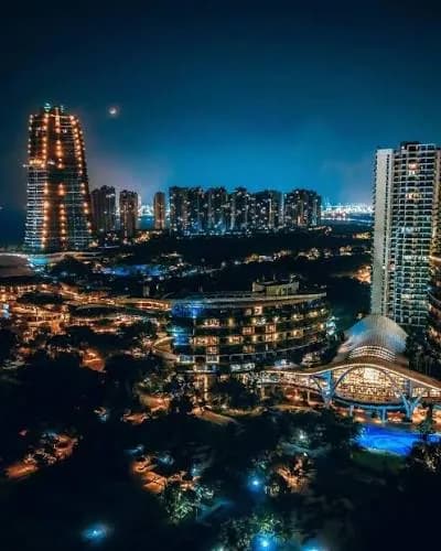 Forest City illuminated at night